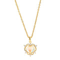 Gradient Heart Shaped Necklace